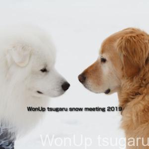WonUp-tsugaru-snow-meeting-2019