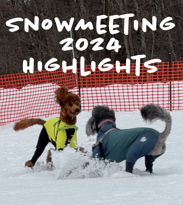 Snow Meeting 2024