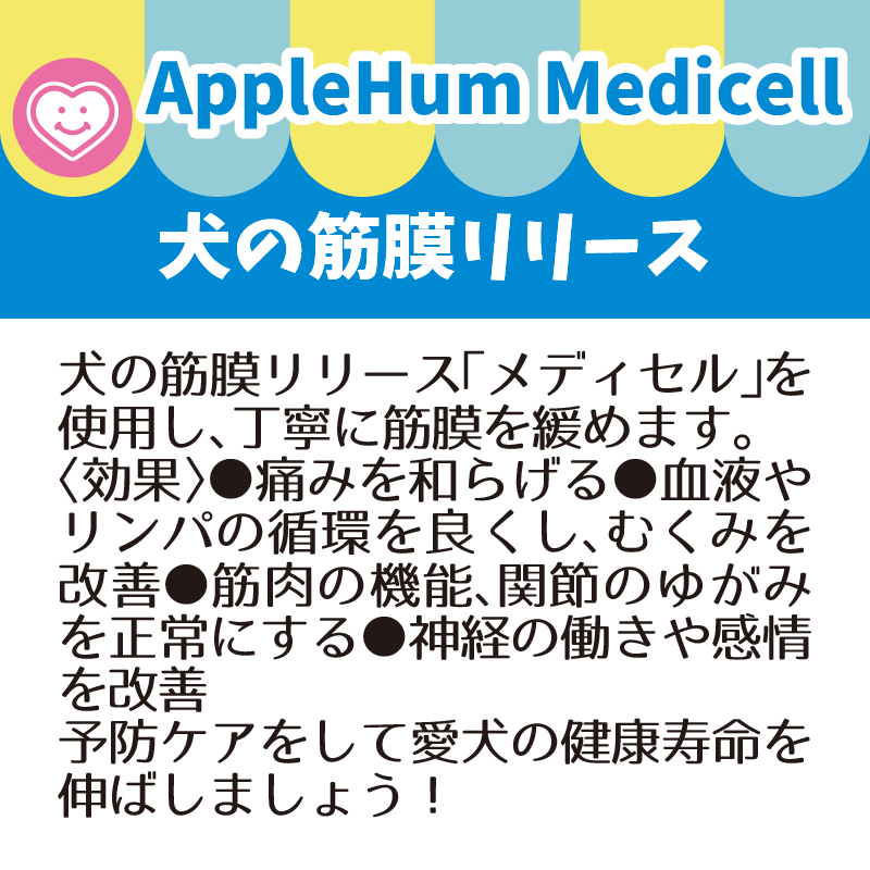 AppleHum Medicell